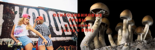 крисы Лабытнанги