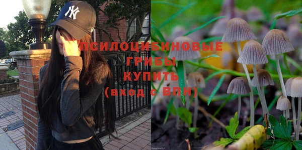 PSILOCYBIN Ладушкин