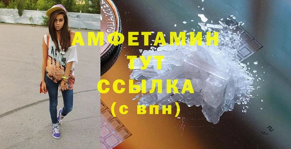 PSILOCYBIN Ладушкин