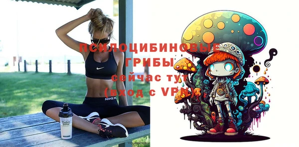 крисы Лабытнанги
