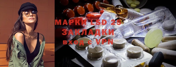 PSILOCYBIN Ладушкин