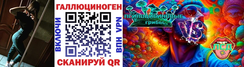 Псилоцибиновые грибы прущие грибы  купить наркотики сайты  Фролово 
