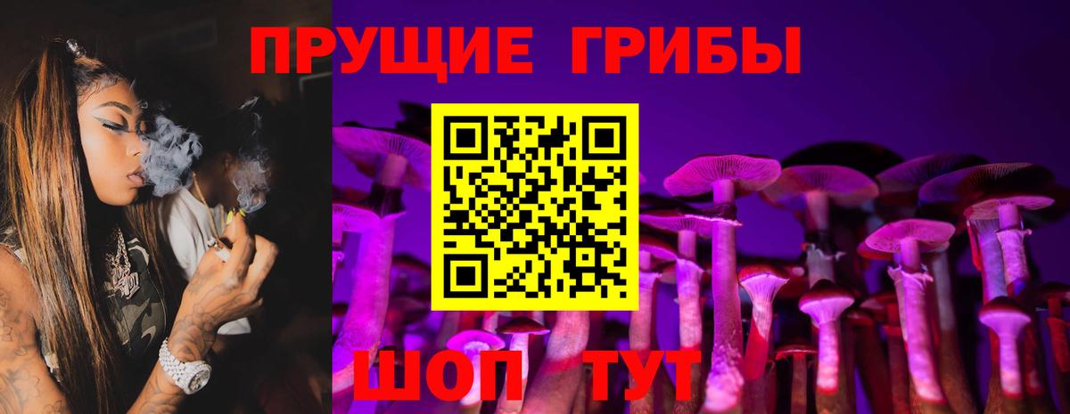 Галлюциногенные грибы Фролово